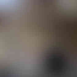 Вход Бачковски манастир Успение Богородично