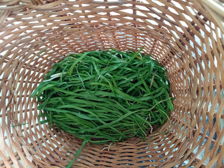 прясно набрана самардала село Конаре