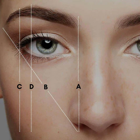 mapped out brows with starting points.