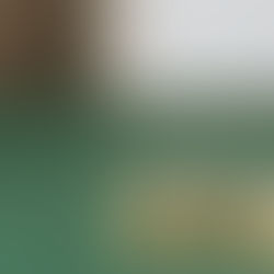 What Is Tax Basis and Why Is It So Important?