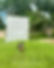 Pagina Web Edicion 2024-4.png