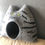 Thumbnail: POLLY - Tiger mit offenen Augen