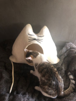FLÖCKCHEN