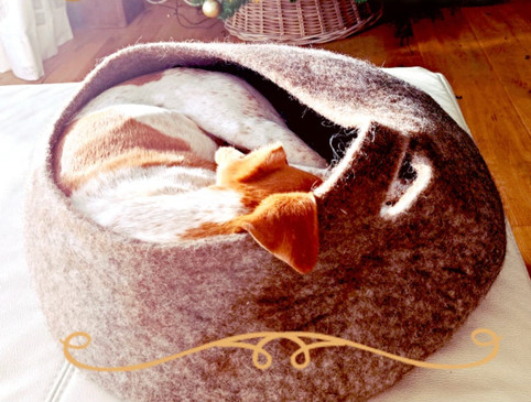 Hannah fühlt sich pudelwohl