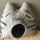 Thumbnail: POLLY - Tiger mit offenen Augen