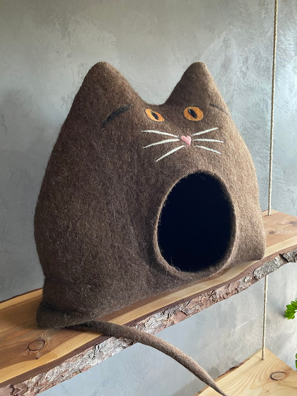 Thumbnail: CHOCI - Britisch Kurzhaar