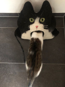 Frühstück!
