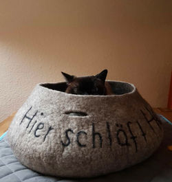 Hier schläft Henry💙