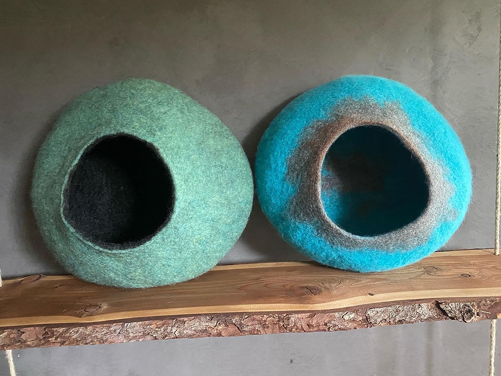 Thumbnail: CHI Color Kuschelhöhle