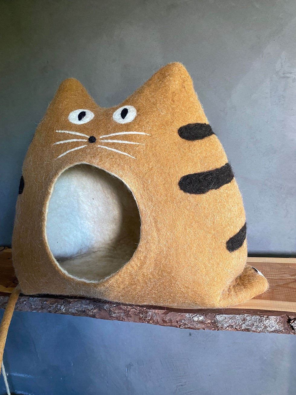 Thumbnail: CHILI - zimtfarbener Tiger