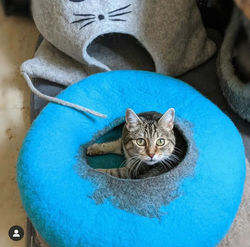 Main Haus. Mein Cabrio. Mein Donut 🍩