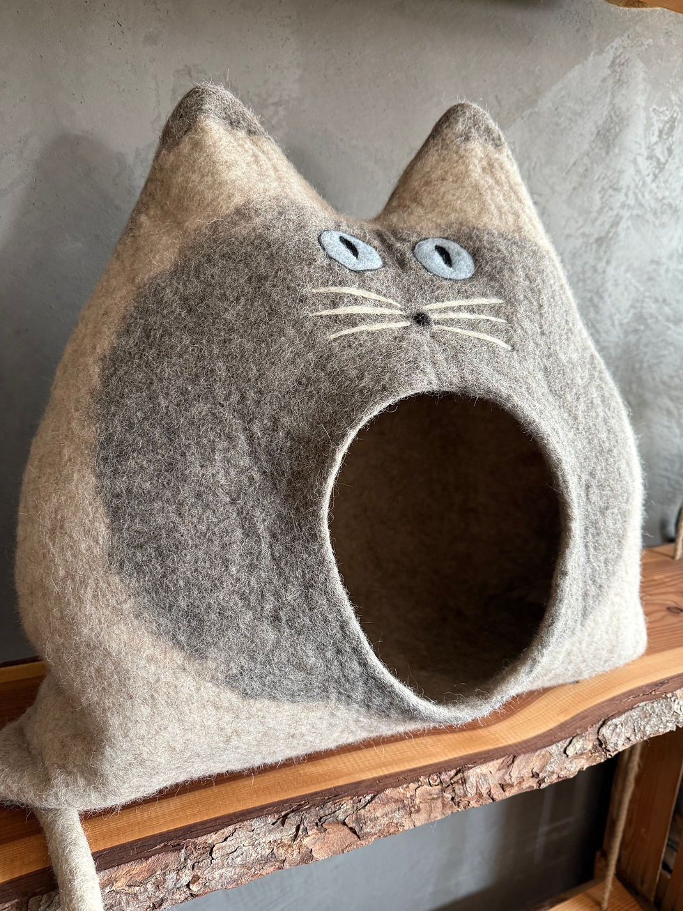 Thumbnail: SUSI - sofort lieferbar!