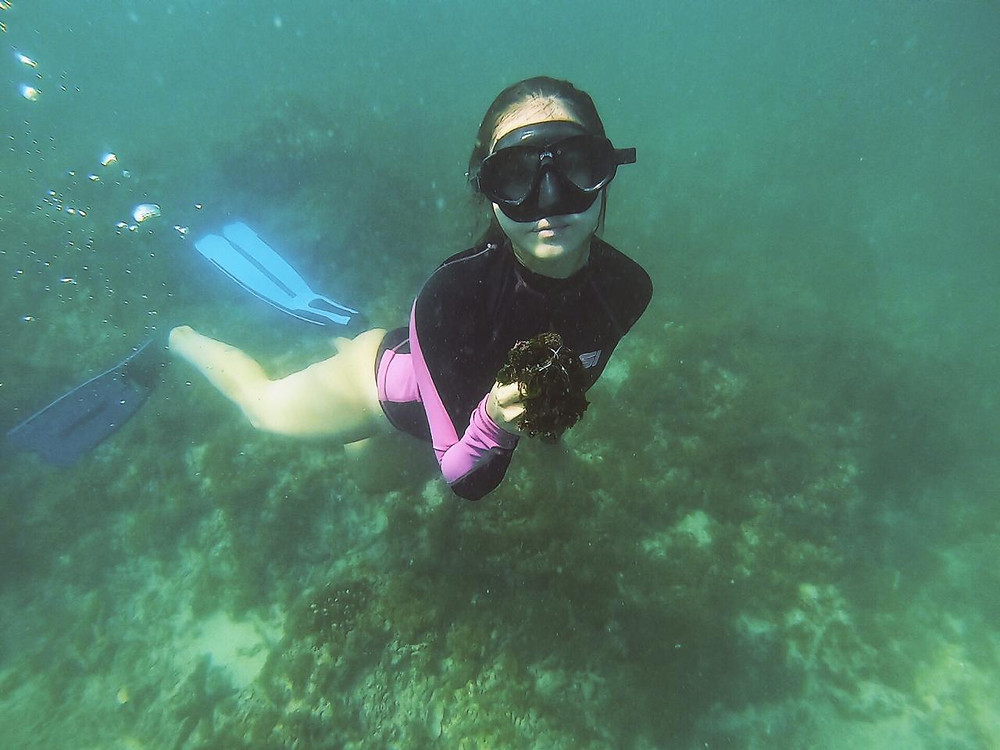 Keiko Conservation Ecuador Reef Cleanup Maria Gracia Gonzalez