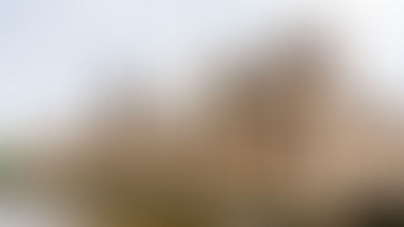 PARLIAMENTARIANS SUPPORT SCRAPPING DEFIBRILLATORS TAX