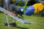 EB1P4628 als Smartobjekt-1.jpg