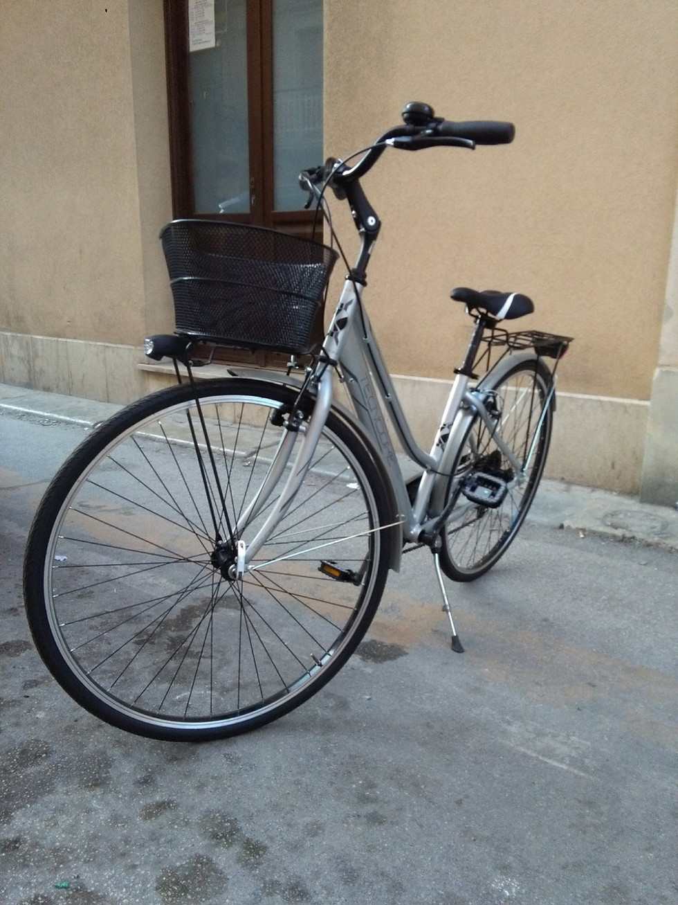 Miniatura: Biciclette