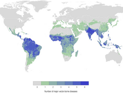 “A world free of human suffering from vector - borne diseases”