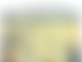 Pasteur-Paris University International Doctoral Program (PPU)