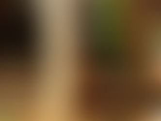 Rabies, a neglected disease that is still rife in Cambodia