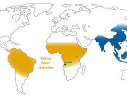 First case of Japanese encephalitis in Africa