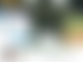 7th Croucher-Pasteur Exchange Programme: Dr BASTIN