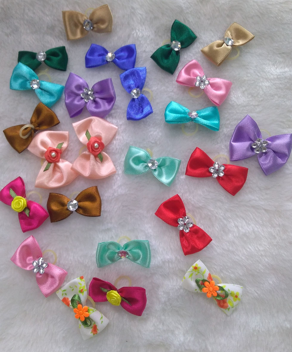 Miniatura: Kit laços diversos para banho e tosa com elástico