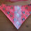 Miniatura: Bandana Carolpets M Ref. 10701