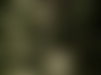 Problems We See: The Impact of Fees