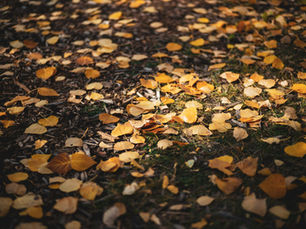 Ensuring Continuity, Clarity and Alignment When Your Asset Manager Undergoes M&A