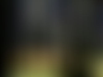 Diversification: What Does it Mean and Why Does it Matter?