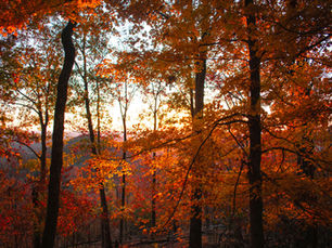 Case Studies in Focus: A Seven-Year Investment Partnership That Delivered Clarity, Control and Cost Savings