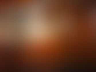 Case Studies in Focus: A Seven-Year Investment Partnership That Delivered Clarity, Control and Cost Savings