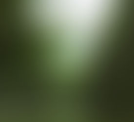 Problems We See: Sustainable Spending Policies