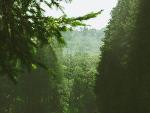 Problems We See: Sustainable Spending Policies