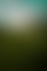 Problems We See: Investment Committee Structures