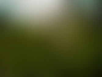 Problems We See: Investment Committee Structures