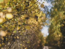 Preparing for the Unpredictable: Geopolitics and the Market