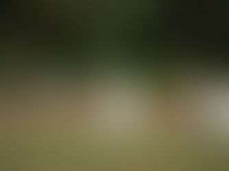 National Village Cup Campaign Off To A Flyer