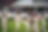 cfa3ef_19c926cbb83343208e93b6c0c0f47e0a_mv2.webp