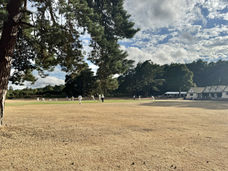 England's brown and pleasant land