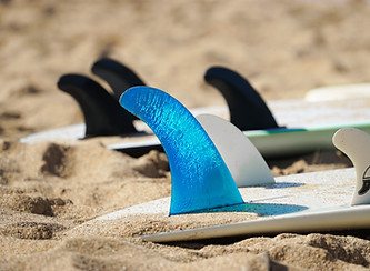 Surfboard Fins