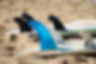 Kayake Rentals, Paddle Board Rentals