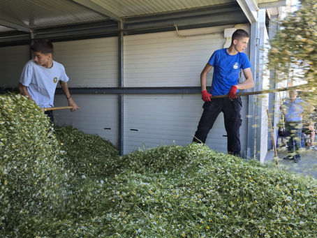 🌿 Završena aktivnost izrade finalnih proizvoda i pakiranja projekta Kamo-Mila Green Line