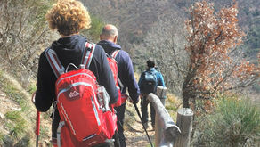 Pazienti e Empatia: il protocollo Mindtrek.