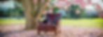 8631L-Chair-Monte-Cristo-Chestnut-H2.jpg