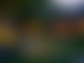 Solar-powered garden lights brightening a backyard flower bed at dusk