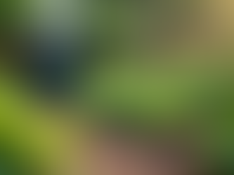 A sustainable vegetable garden with compost bins