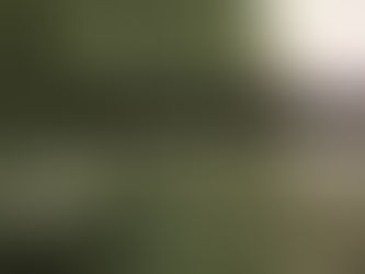 Ons hou daarvan om te dink ons verstaan dinge...