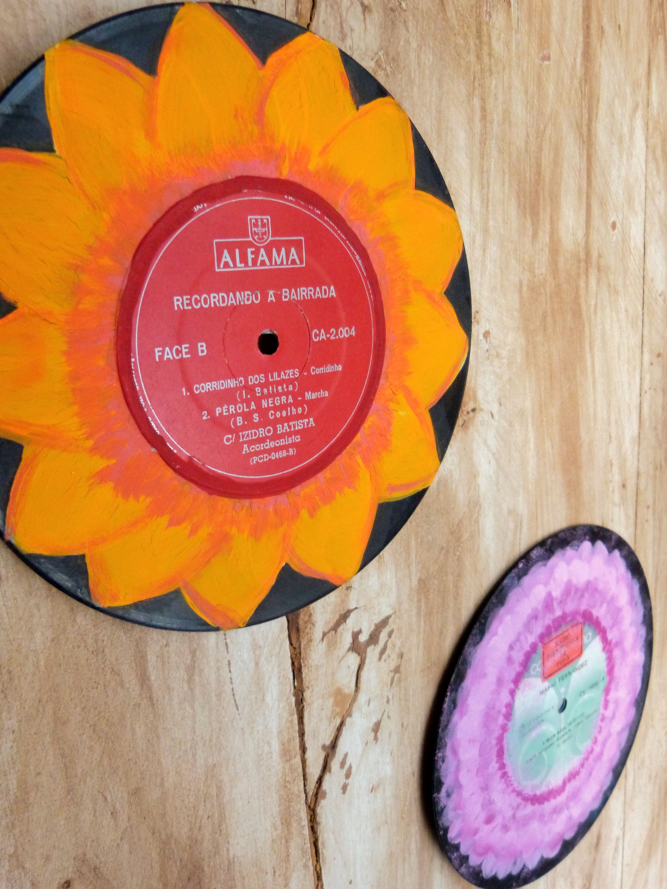 Conjunto de Discos - Flores Vintage