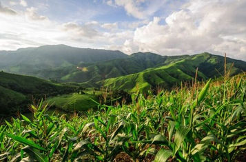 Área de Preservação Permanente pode contar como Reserva Legal?